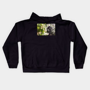 English dogwood flowers Kids Hoodie